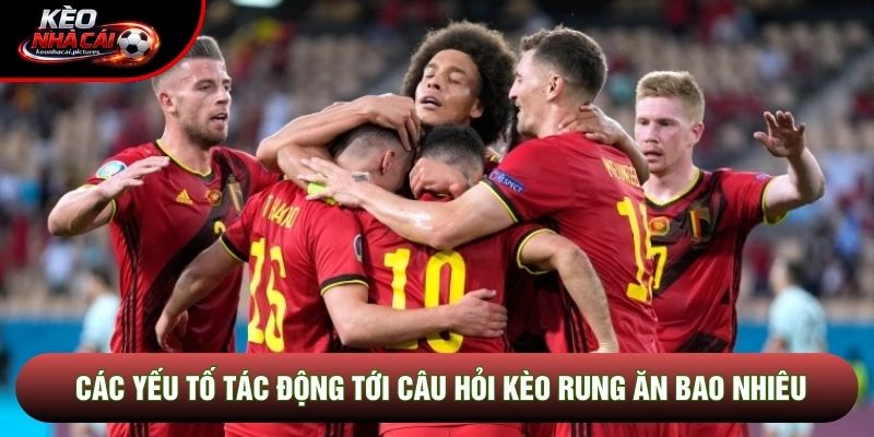 Các yếu tố tác động tới câu hỏi kèo rung ăn bao nhiêu