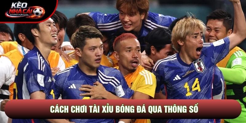 Cách chơi tài xỉu bóng đá qua thông số Cách chơi tài xỉu bóng đá qua thông số