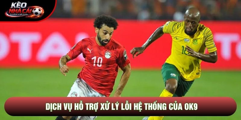 Dịch vụ hỗ trợ xử lý lỗi hệ thống của Ok9 Dịch vụ hỗ trợ xử lý lỗi hệ thống của Ok9