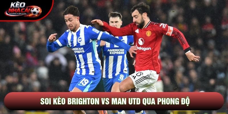 Soi kèo Brighton vs Man Utd qua phong độ Soi kèo Brighton vs Man Utd qua phong độ