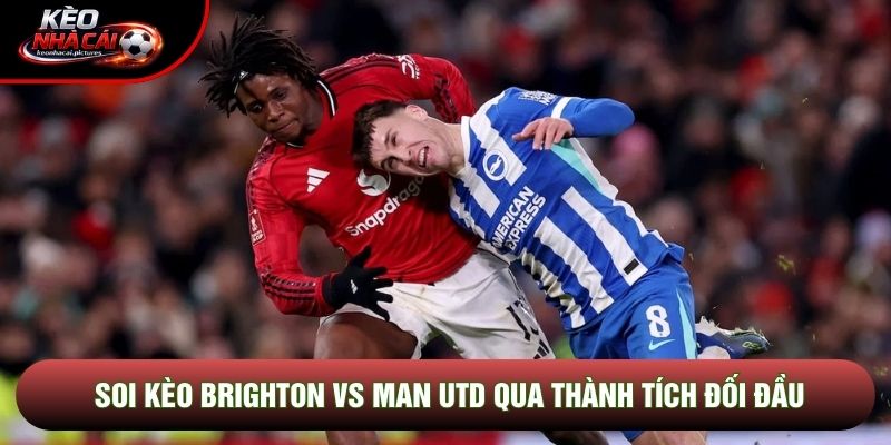 Soi kèo Brighton vs Man Utd qua thành tích đối đầu Soi kèo Brighton vs Man Utd qua thành tích đối đầu