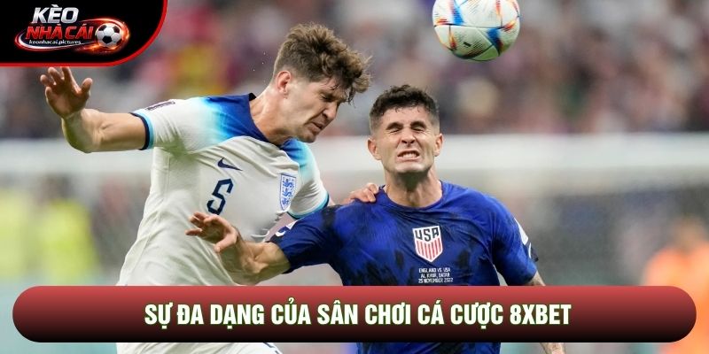 Sự đa dạng của sân chơi cá cược 8xbet Sự đa dạng của sân chơi cá cược 8xbet