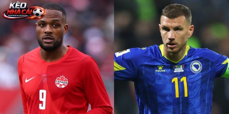 Canada vs Bosnia và Herzegovina chưa từng so tài Canada vs Bosnia và Herzegovina chưa từng so tài