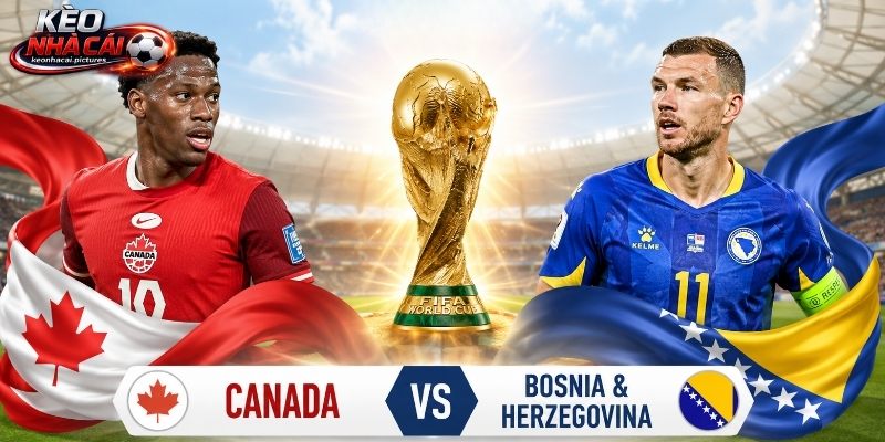 Soi kèo Canada vs Bosnia và Herzegovina qua thống kê phong độ Soi kèo Canada vs Bosnia và Herzegovina qua thống kê phong độ