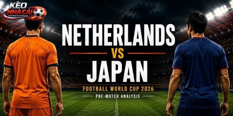 Soi kèo Hà Lan vs Nhật Bản cho thấy cuộc chiến cân tài cân sức Soi kèo Hà Lan vs Nhật Bản cho thấy cuộc chiến cân tài cân sức