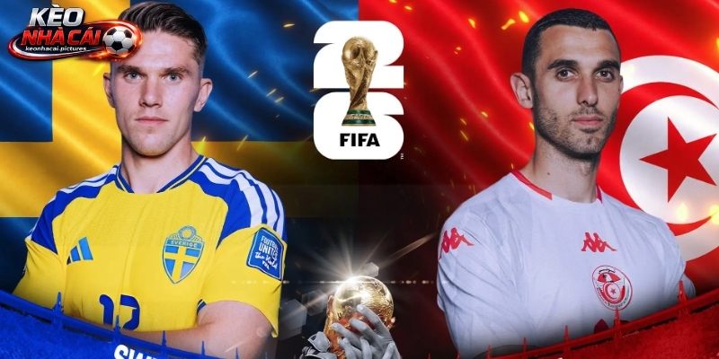 Soi kèo Thuỵ Điển vs Tunisia chưa có phong độ tốt Soi kèo Thuỵ Điển vs Tunisia chưa có phong độ tốt