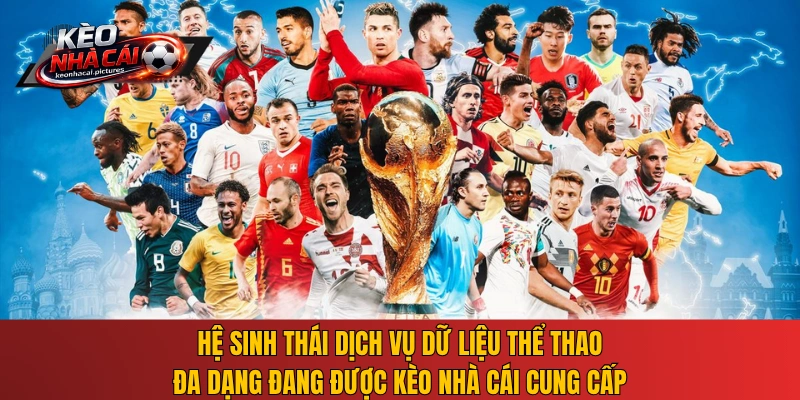 Hệ sinh thái dịch vụ dữ liệu thể thao đa dạng đang được Kèo Nhà Cái cung cấp