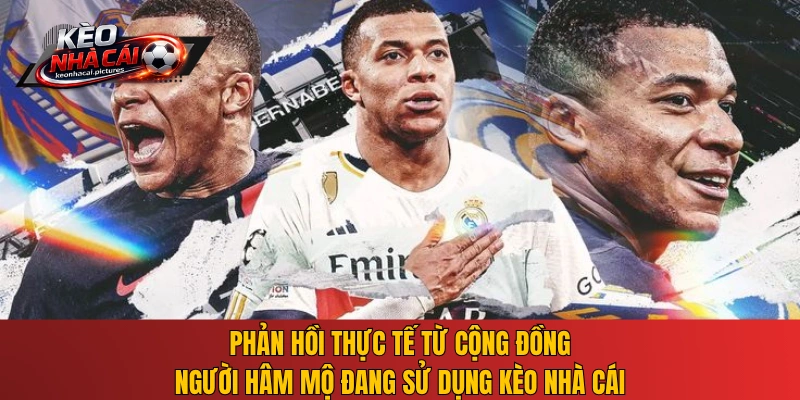 Phản hồi thực tế từ cộng đồng người hâm mộ đang sử dụng Kèo Nhà Cái